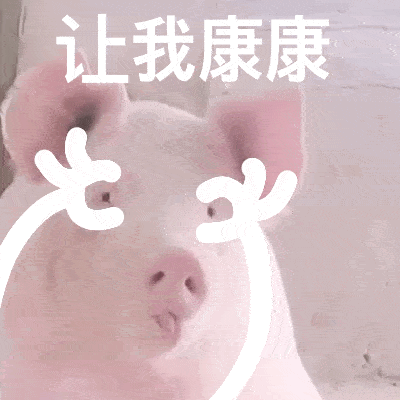 当动物们拥有双手又沙雕又可爱的gif表情包