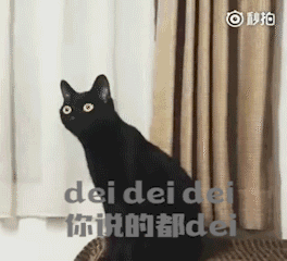 黑猫表情包gif版下载黑猫表情包下载飞翔下载