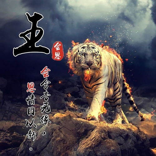 你的头像多久没换了,30张超赞3d艺术签名头像,等你来带走