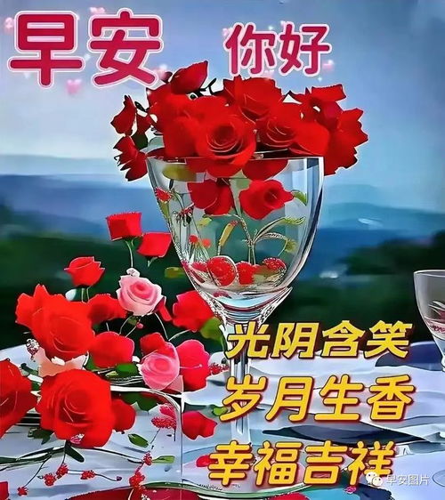 晚上好图片大全,晚上问候,晚上好祝福,晚上好表情包图片,夜夜好梦