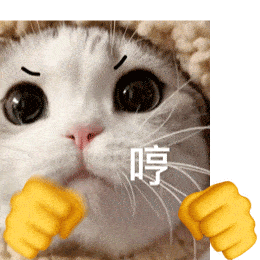 猫猫狗狗打拳表情包,都给我进来挨揍