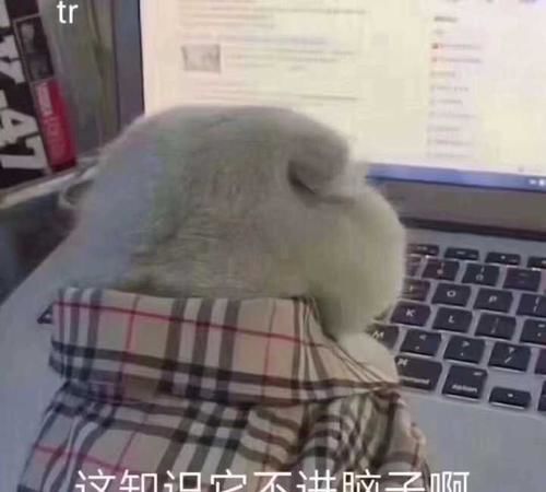 每日一笑媳妇正在家做家务,我没事躺在沙发上玩手机