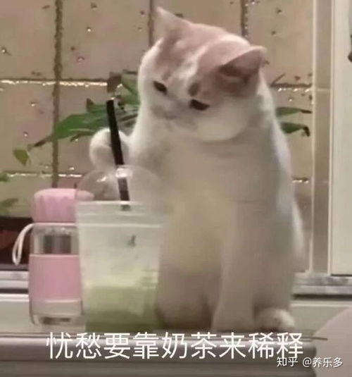 如果生活很苦,那就自己加糖吧