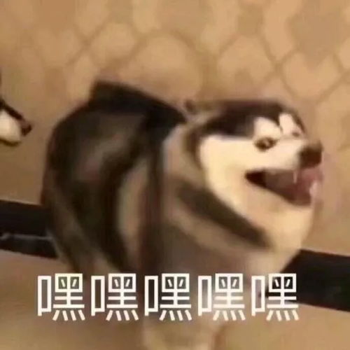 你们女人根本不懂男人,有对象的男人也看片