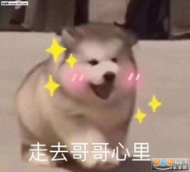 又来了又来了表情包劝你不要挑衅我表情包下载乐游网游戏下载