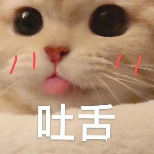 心理活动释放压力积极备考