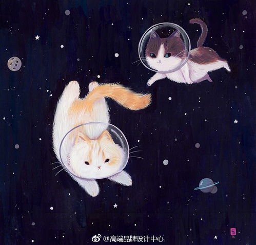 猫奴插画师siamesescalantedraw卡通矢量扁平