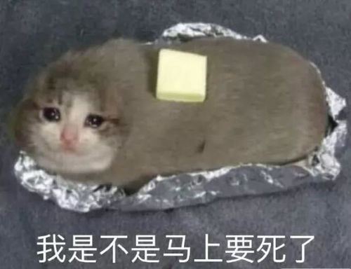 春节期间作息颠倒,别忘了吃早餐