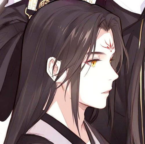 请问这个出自哪里