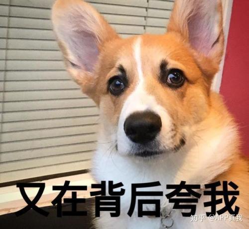 敏感肌想要选择护肤品,是选雅漾好还是理肤泉好