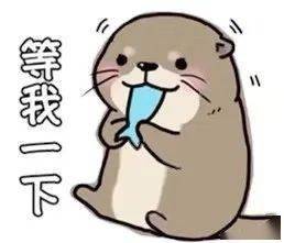 小水獭向你打招呼并递上一个表情包