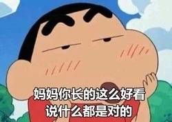 蜡笔小新母亲节表情包