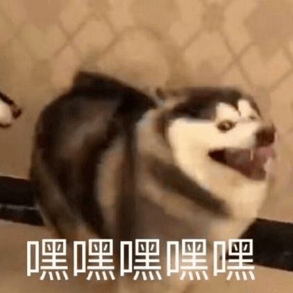 距六级不足2周想要快速抢分看这里