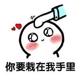力荐南宁青瓦房出新玩意,七夕带ta来个浪漫水上之游必是极好
