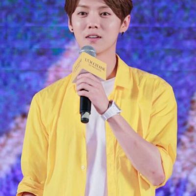 鹿晗微信头像大全身穿黄色衣服图片全集