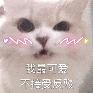 来一波搞笑表情包