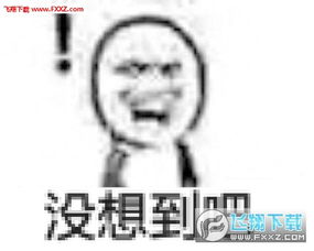 没想到吧表情包图片无水印版没想到吧表情包系列全套下载飞翔下载