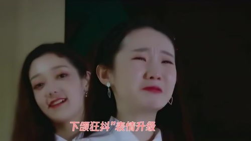 张艺凡为田京凡又哭又笑,再现小哭包表情,令人心疼又好笑