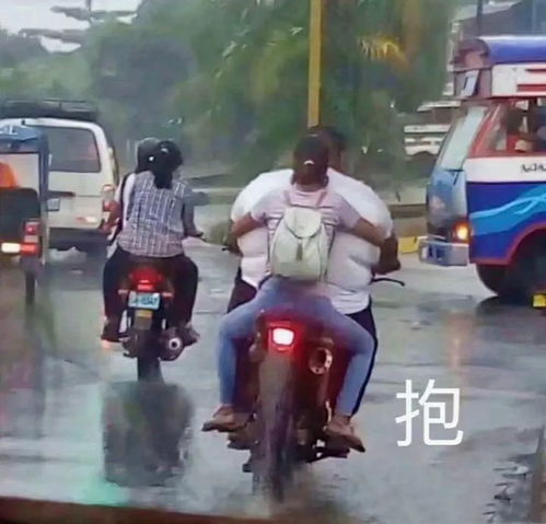 表情包都安排好了会有蚊子替我跟你说晚安