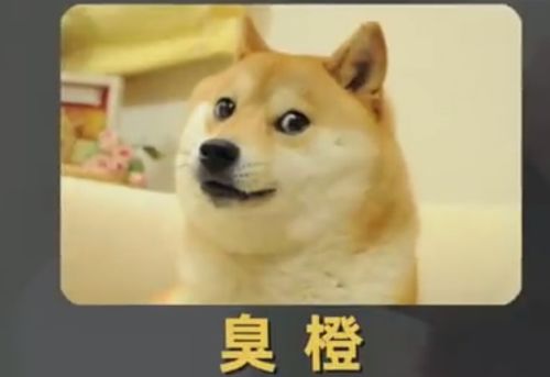 无数人使用的狗头表情,商业价值高达百亿