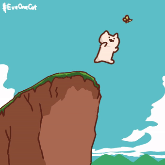 沙雕猫最新合集,可以循环一天的节奏