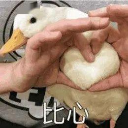 罗湖医院眼科提醒有些眼病耽误不得,需要及时到眼科就诊