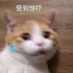 诡异26岁健康小伙却接连遭遇两次脑梗死,细查发现病因竟是缺心眼