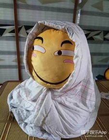 看完这些魔性抱枕,我整个人都不好了......
