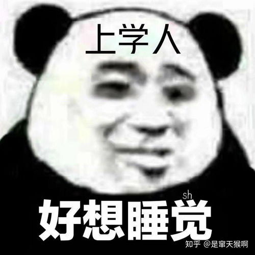 晚安读书人沙雕可爱表情包