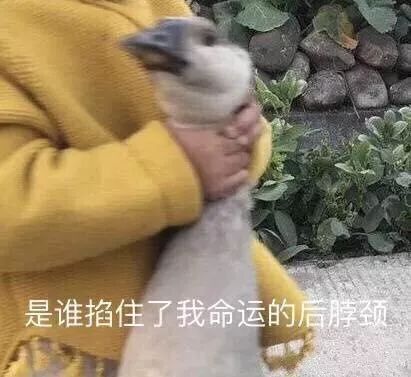 3334沈阳开启红焖模式25号才有大雨