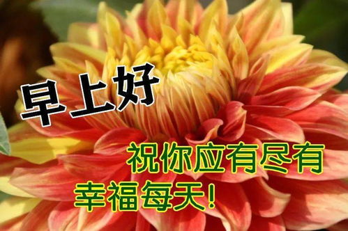 9月9日早上好动态表情图片大全,早晨好动图美图大全