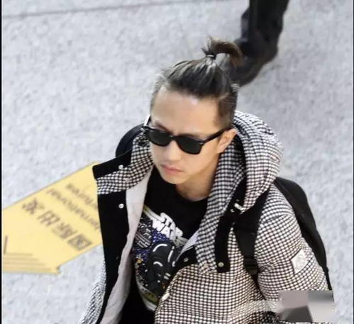 娱乐圈扎小辫子十大男星谁最雷人