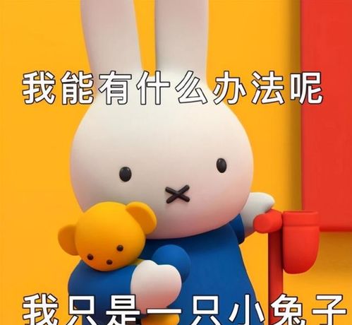好聚好散,能和平分手的星座配对,真有吗