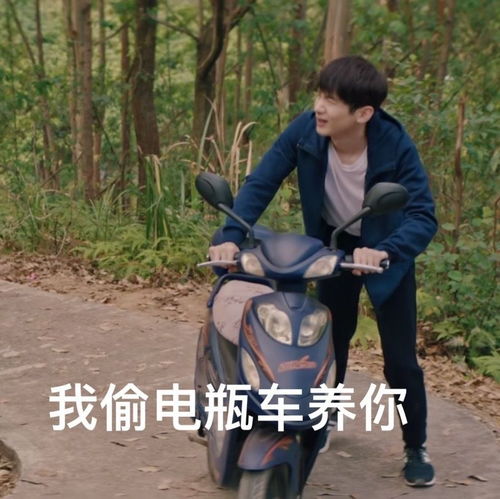 白敬亭的沙雕表情包