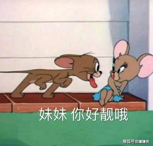 最新热门表情包图片微信聊天必备,哇