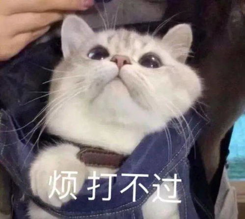 搞笑表情包更新我懂的,这就是生活