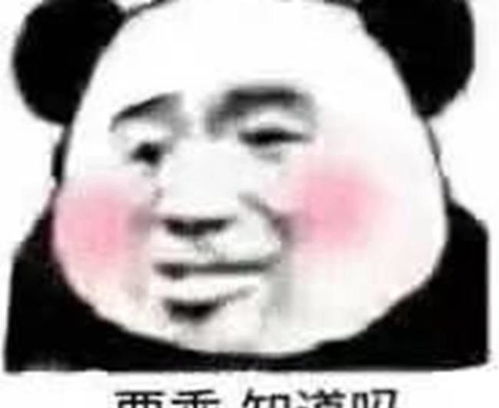 超级搞笑的熊猫头表情哪里来的浪花在这里biabia