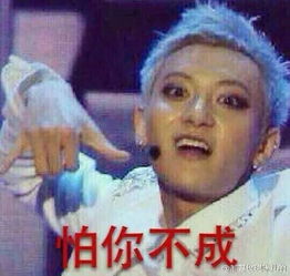 马云搞笑表情包哈哈哈