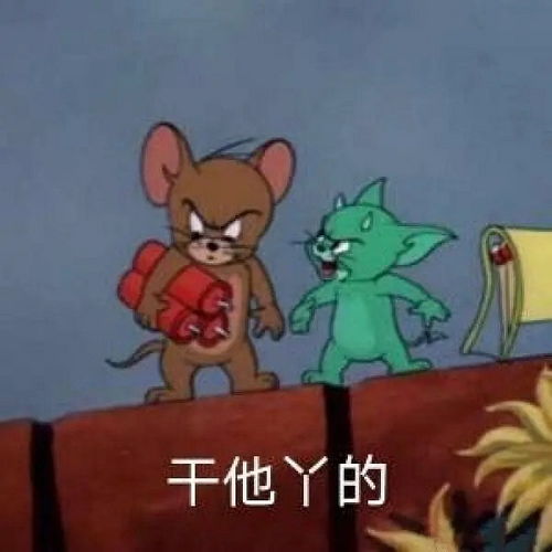 我们这有个女的太傻逼了cnm