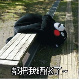 热热热热热六月,比阳光更炽热的是这里