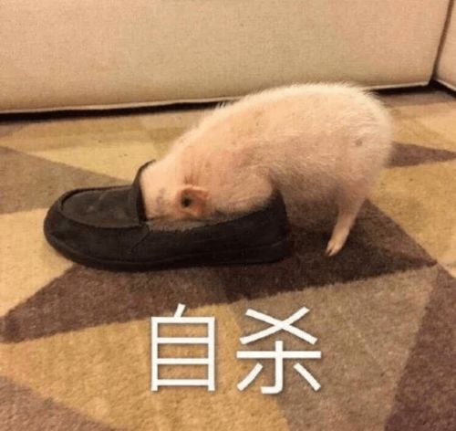 当代沙雕兮兮的朋友圈搞笑文案