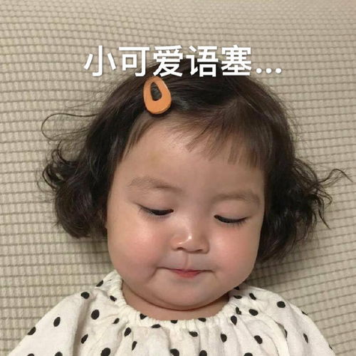 搞笑gif回回考满分,以后怎么超越自己