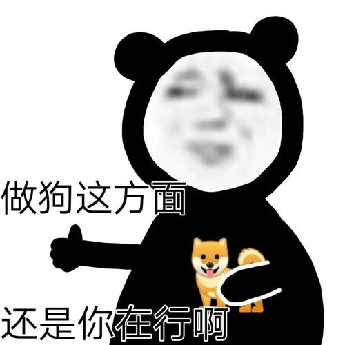 熊猫表情包以后还是不要亲男朋友嘴了,你根本不知道他干过啥