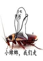 小蟑螂我们走表情图片微博蟑螂我们走表情包下载乐游网游戏下载