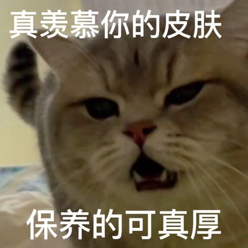 沙雕表情包你的脸皮保养的可真厚