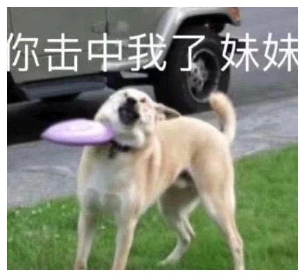 搞笑gif这个傻妹子,太招人喜欢了