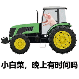 沙雕表情包丨太晚了去你家
