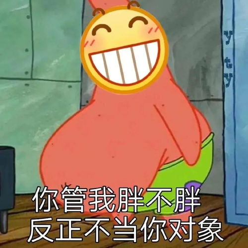 表情包你管我胖不胖反正不当你对象