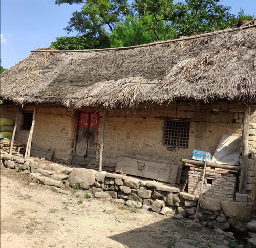 中老年土味头像风景建筑