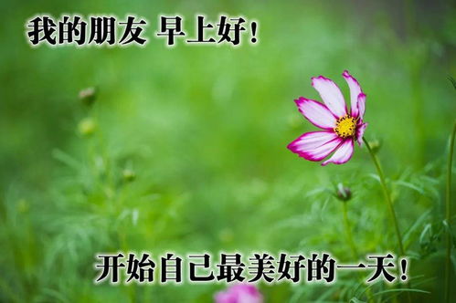 早安祝福心语,早上好问下祝福图片大全